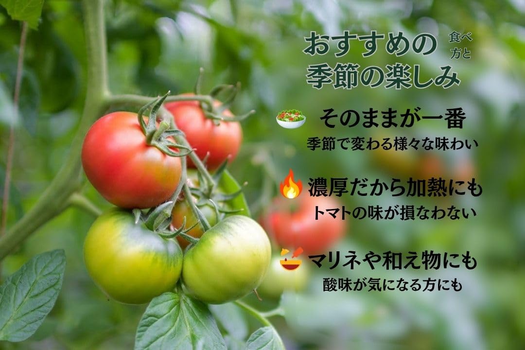 Amazon.co.jp: 国内産 サン・グリーンズ アメーラ トマト 1箱 900g