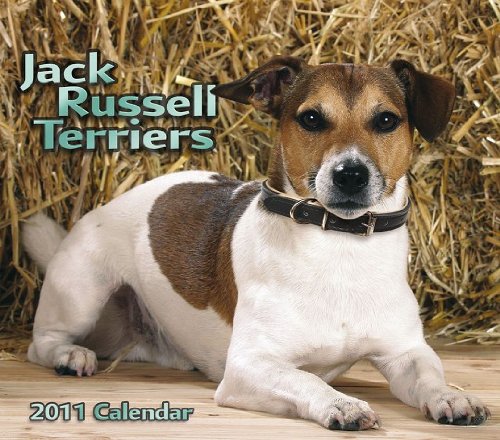 Kaffeetasse Jack Russell Terrier 3 Stk