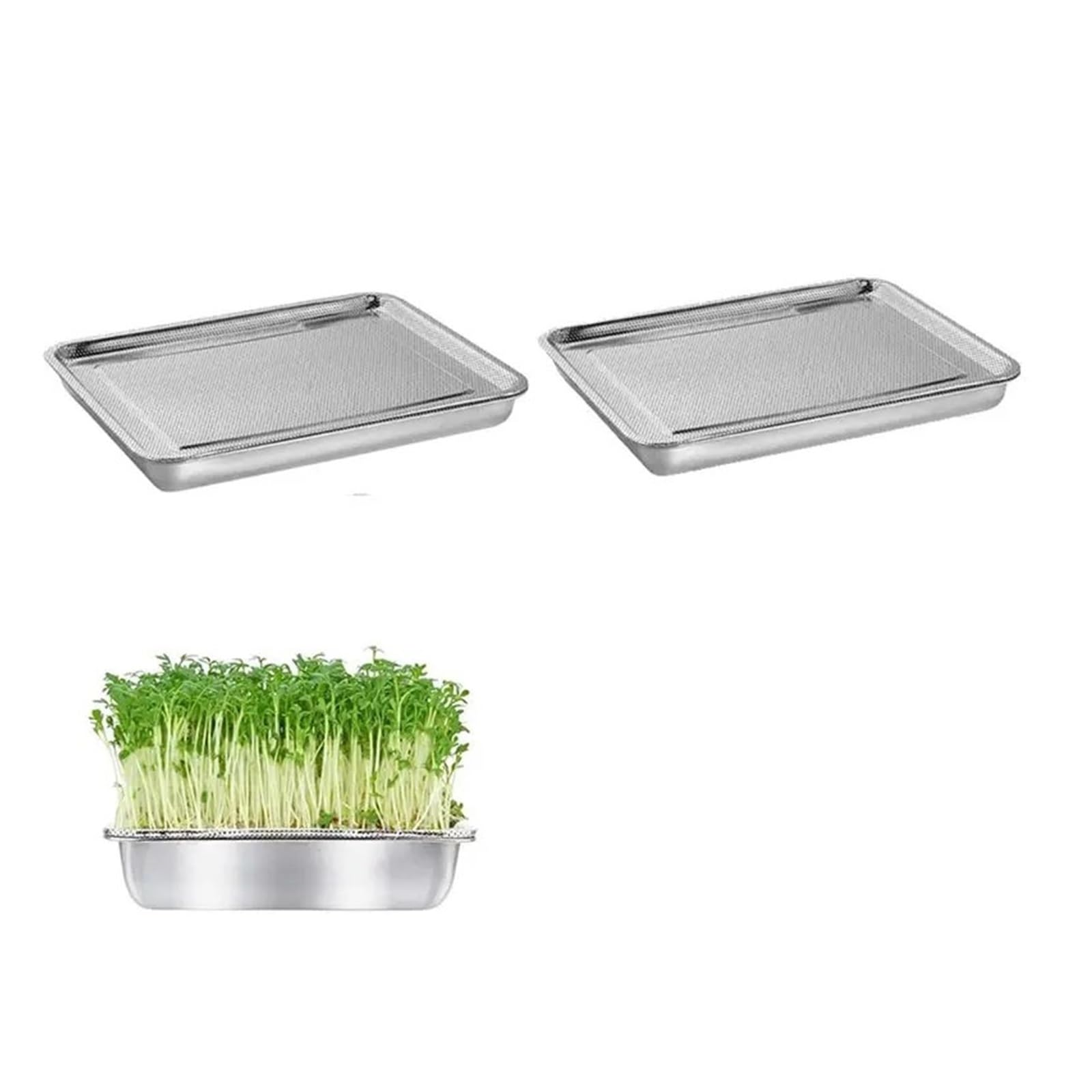 Générique Kit de Culture germes en Acier Inoxydable, Plateaux à 2 Niveaux 10.4 Pouces, microgreens, Plateau Germination graines avec Maille 4P