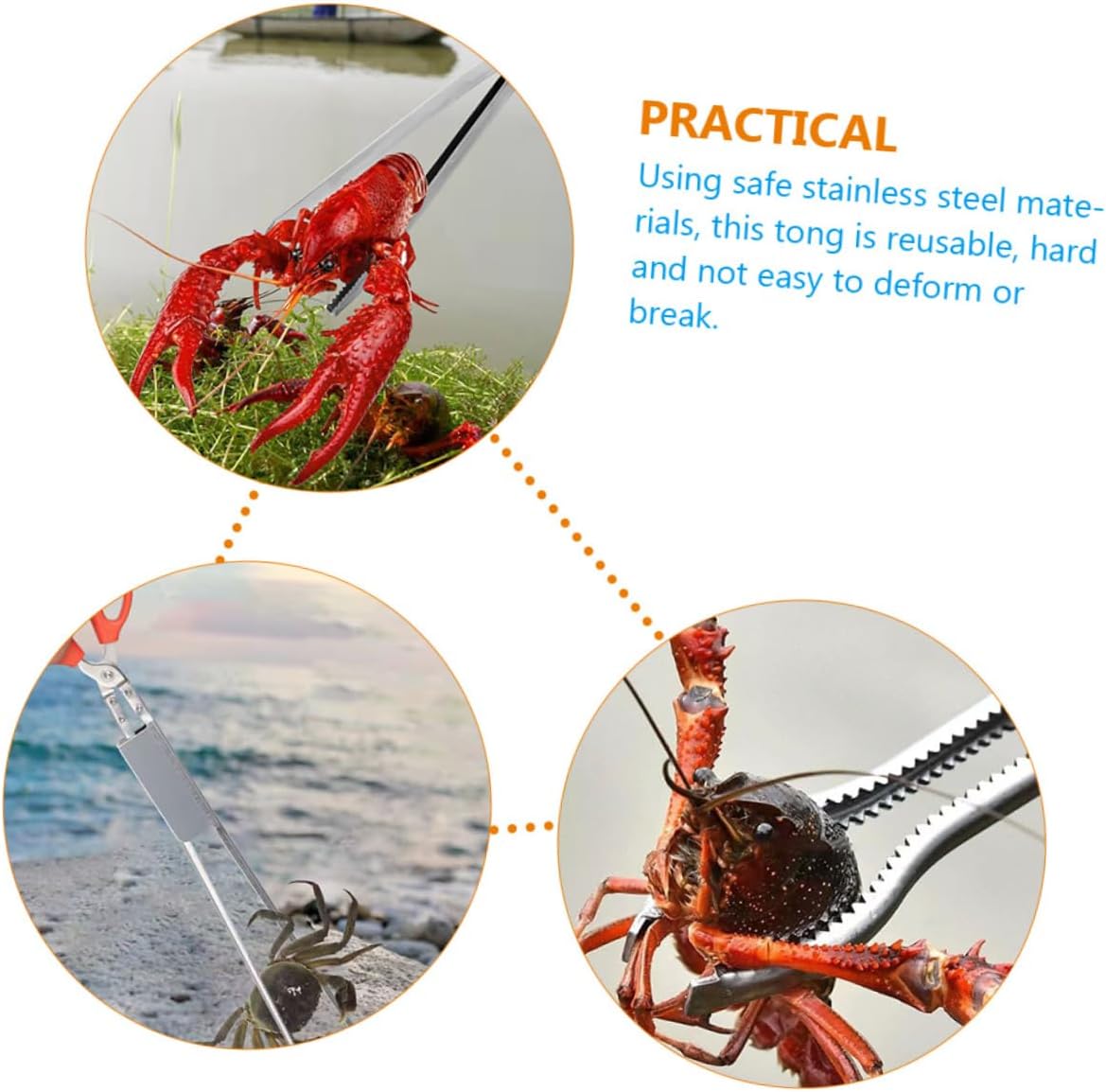 Stainless Steel Crab Tong Multi-Function Eel Clamp Tool Non-Slip Design for Seafood and Fishing Outdoor Accessory for Crab Picking and Catching Loaches