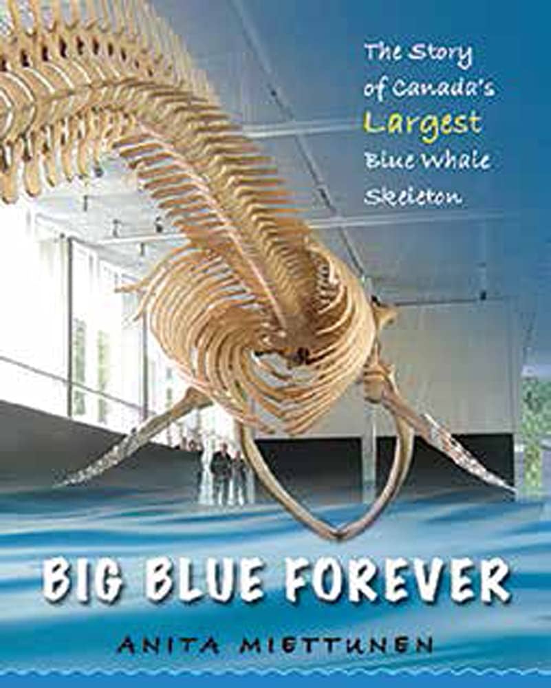 Big Blue Forever: The Story of Canada's Largest Blue Whale