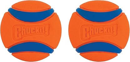 Chuckit! 17001 2.5-Inch Ultra Ball 2 Pack, Medium, Orange/Blue