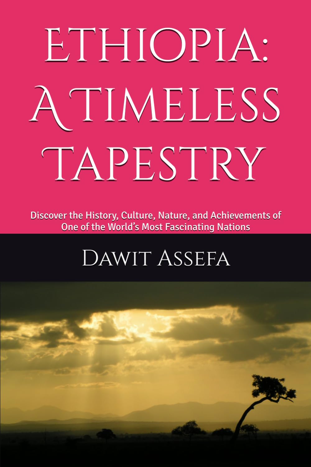 Ethiopia: A Timeless Tapestry: Everything You Need to Know to Experience Ethiopia with Confidence