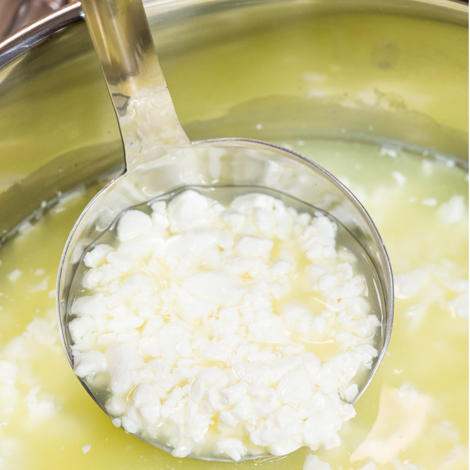 Labextrakt (Käselab) Flüssig 1000ml 1:15000 - Vegetarisches Lab für Käse Selber Machen