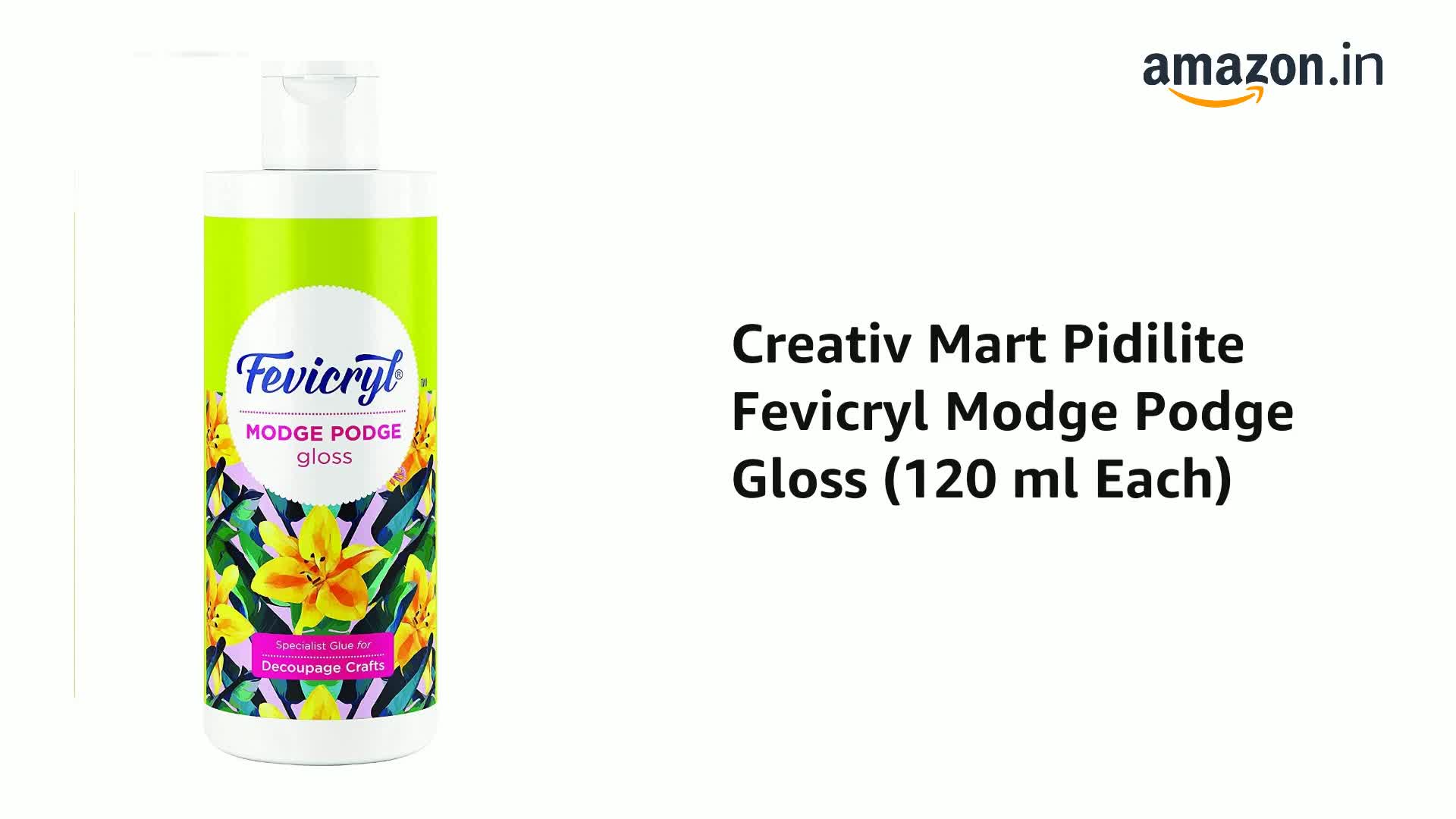 Creativ Mart Pidilite Fevicryl Modge Podge Gloss (120 ml Each
