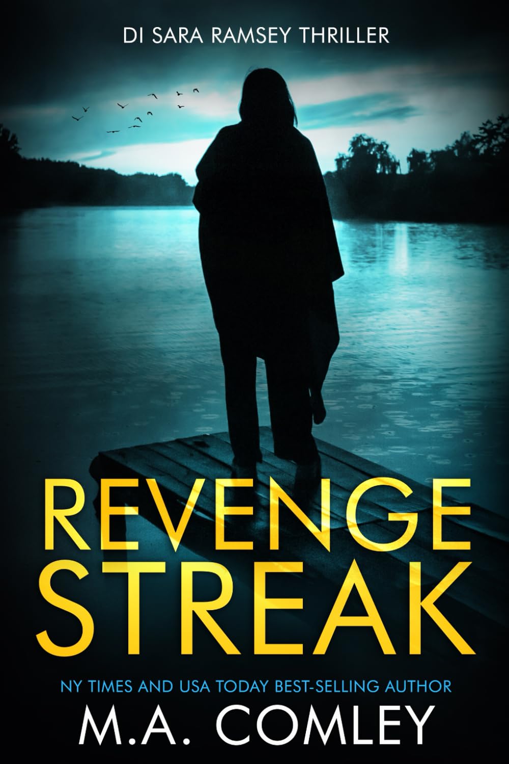 Revenge Streak (DI Sara Ramsey)