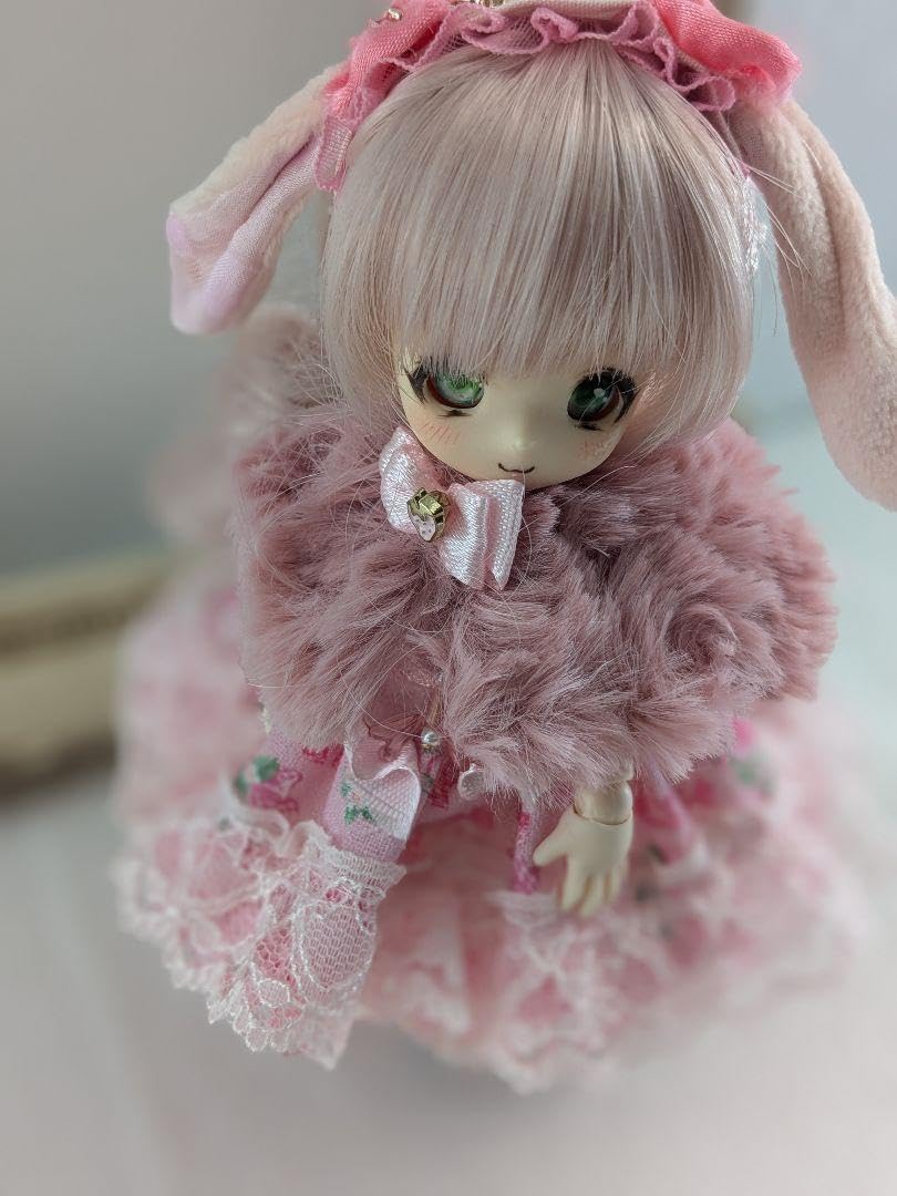 Amazon.co.jp: 限定♪オビツ11ピコニーモPお洋服セット♪いちご