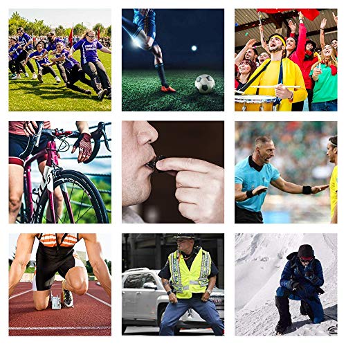 Sports-Referee-Coach-Whistle2-Pack-Dolphin-Shape-Pealess-Plastic-Whistles-with-Rubber-Teeth-Protector-and-Lanyard-2-of-Black - Cucciolini Doodles   Sports-Referee-Coach-Whistle2-Pack-Dolphin-Shape-Pealess-Plastic-Whistles-with-Rubber-Teeth-Protector-and-Lanyard-2-of-Black