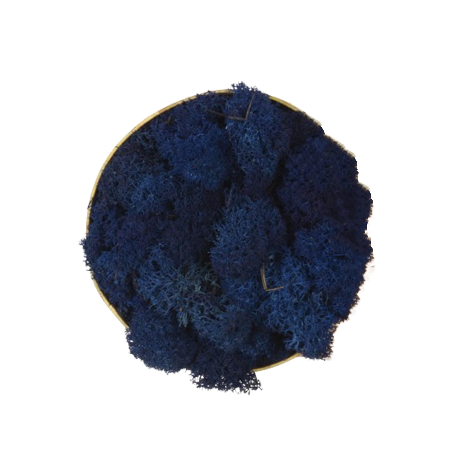 Lichene Stabilizzato Vero 100% Naturale, 500g - Muschio Scandinavo Conservato per Decorazioni - Ideale per Parete Verde, Terrario, Presepi, Modellismo e Composizioni Fai da Te (Blu Scuro, 500g)