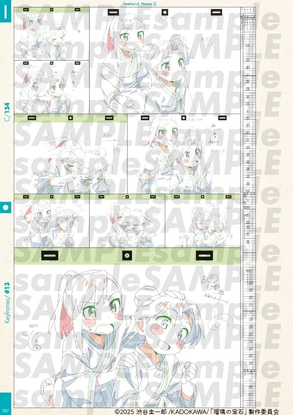 Amazon.co.jp: 瑠璃の宝石 原画集 公式原画集 公式グッズ : おもちゃ