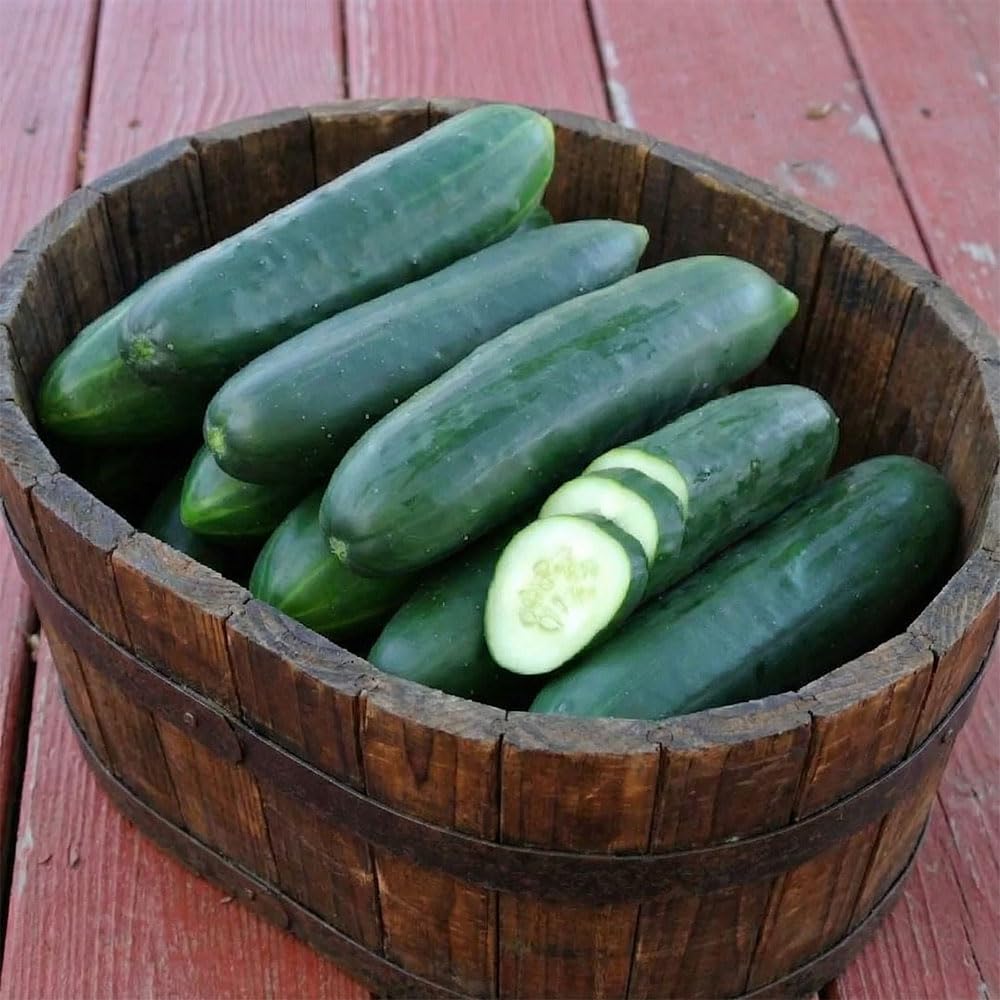 Cucumber Seeds – Cetriolo Sensation – High-Yield Italian Variety – Long Smooth Fruits – Crisp, Sweet Flavour – Easy to Grow