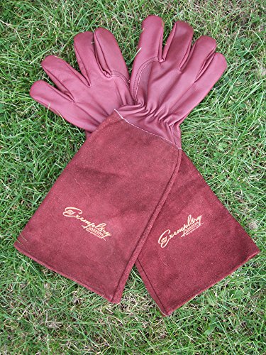 Rose Pruning Gloves for Men and Women. Thorn Proof Goatskin Leather Gardening Gloves with Long Cowhide Gauntlet to Protect Your Arms Until The Elbow (Small, Maroon)