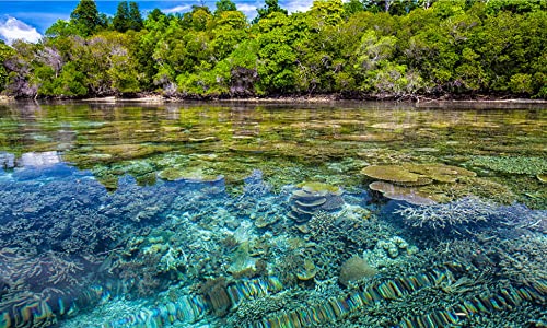 E027 - Biodiversity and culture