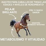 Ver la foto 5