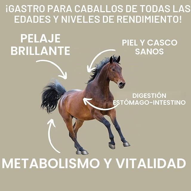 Foto 5 de 8 de Estómago Intestino Booster Caballo - Probióticos