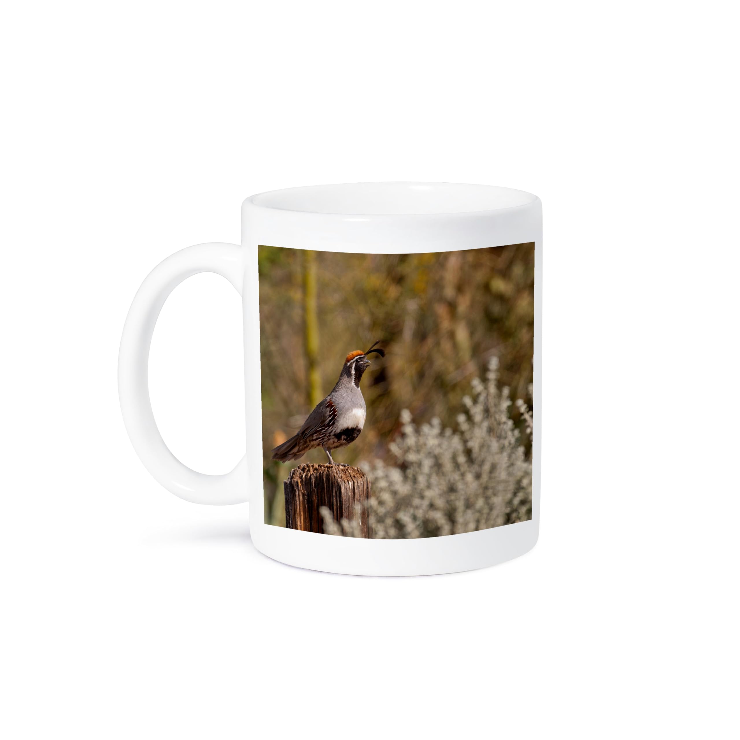 GIVEMEFIVER USA, Arizona, Tucson, Gambels Quail Mug, Ceramic, White, 10.16 x 7.62 x 9.52 cm Printed Coffee and Tea Ceramic Mug- 320 ML Ceramic Coffee Mug 5714