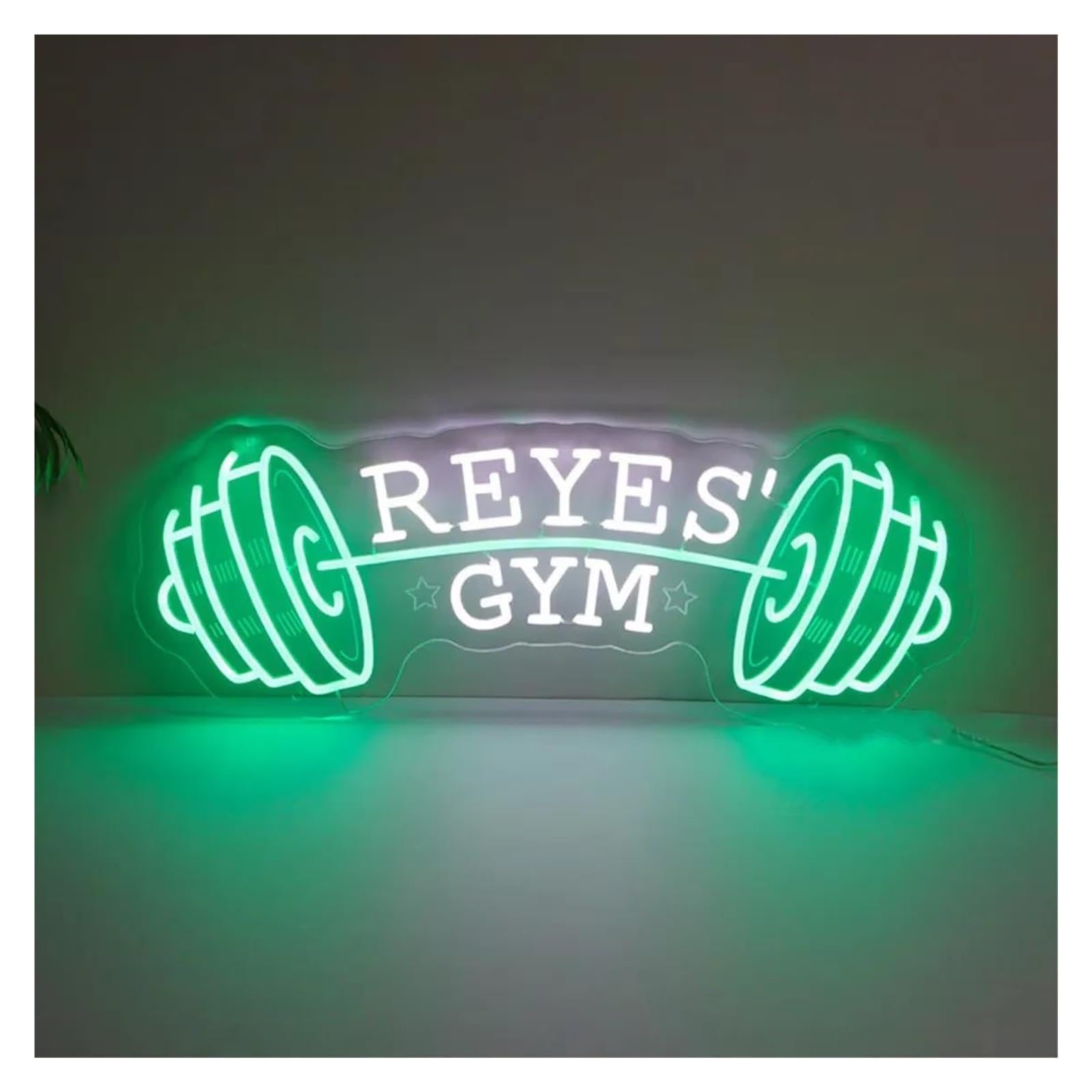LEMST Signs Lamp Dumbbell Neon Sign, Gym Neon Wall Hanging, Fitness Lover, School Gym Wall Decor 50cm(A)