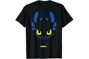 Toothless: The Dragon from DreamWorks Dragons