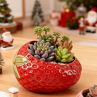Strawberry Ceramic Planter - Cute Red Succulent Pot - Perfect for Indoor Small Plants & Home Decor Gift