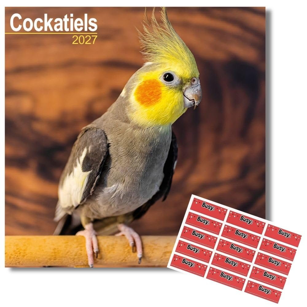 Avonside Cockatiels 2027 Calendar with Organisational Stickers, 16 Month Square Wall Calendar (Sept 2026 - Dec 2027), UK Planner with Cockatiels, For Bird Lovers, Home or Office, 11.6 x 11.6 in