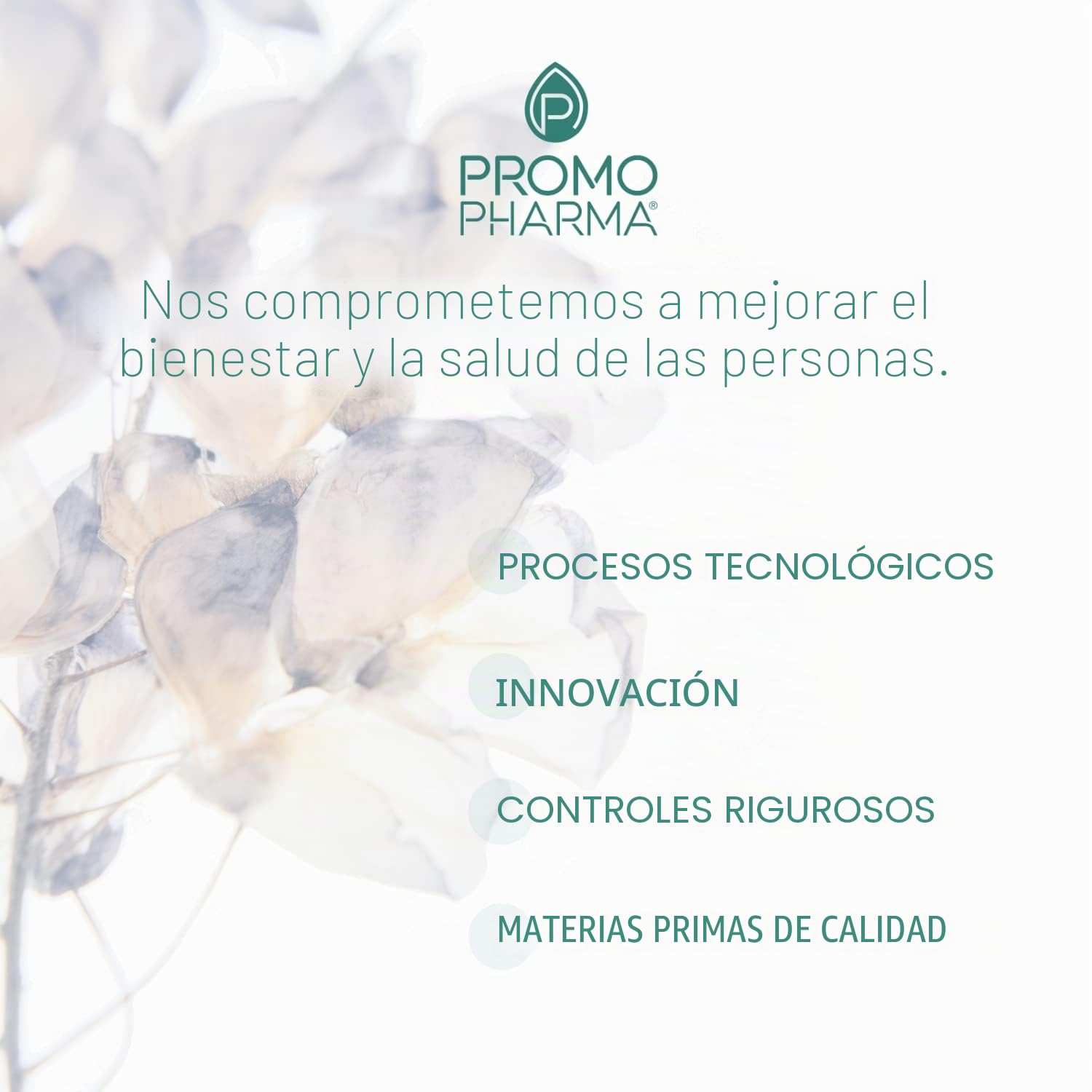 Omega RX3 1200 - Complemento alimenticio - A base de Omega 3 - Aporta energía al organismo - 300 perlas