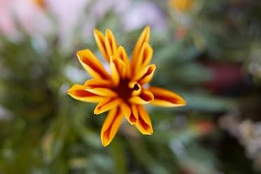 Immagine del cliente