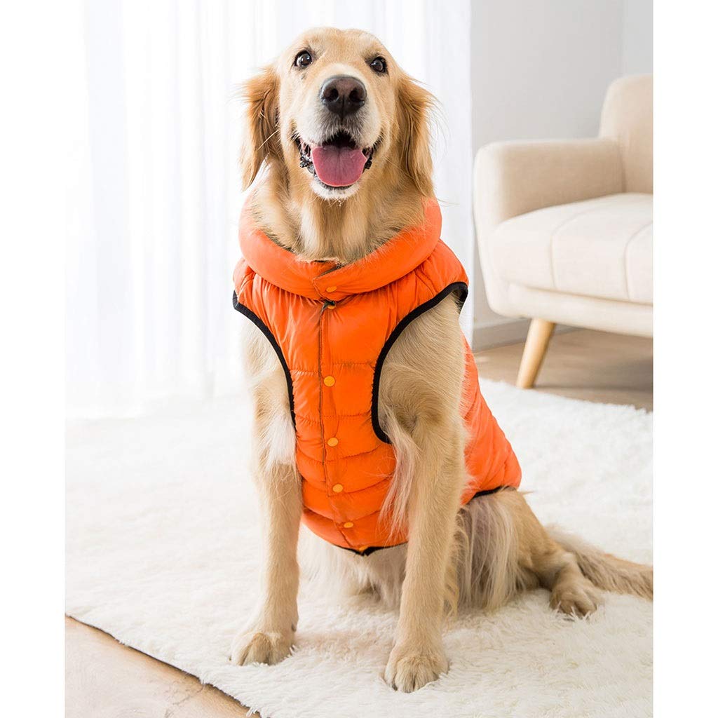 Amazon | ビッグ犬服秋と冬の暖かい犬服ゴールデンレトリバー