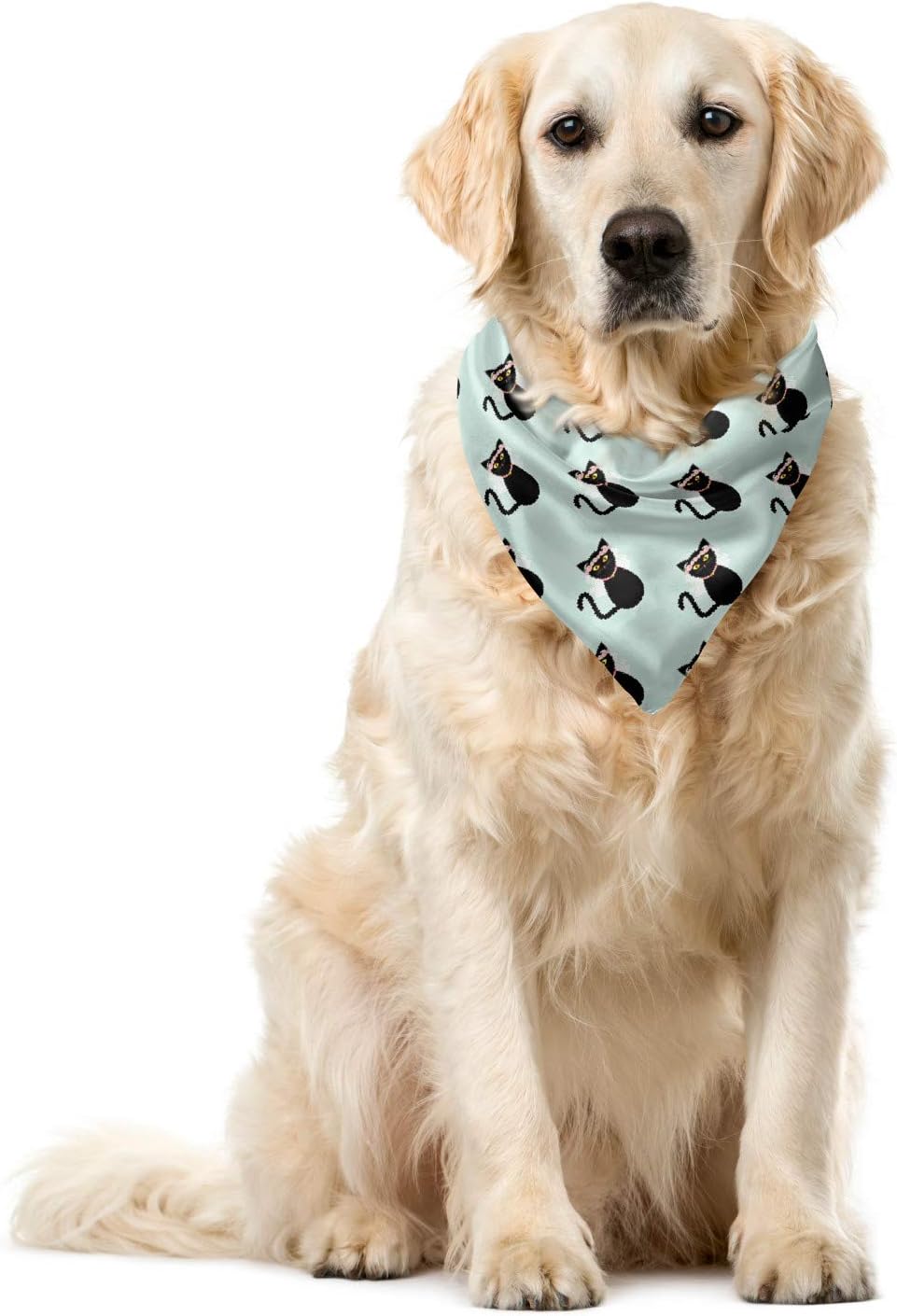 Ambesonne Cat Bandana Collar, Funny Bride Kitten