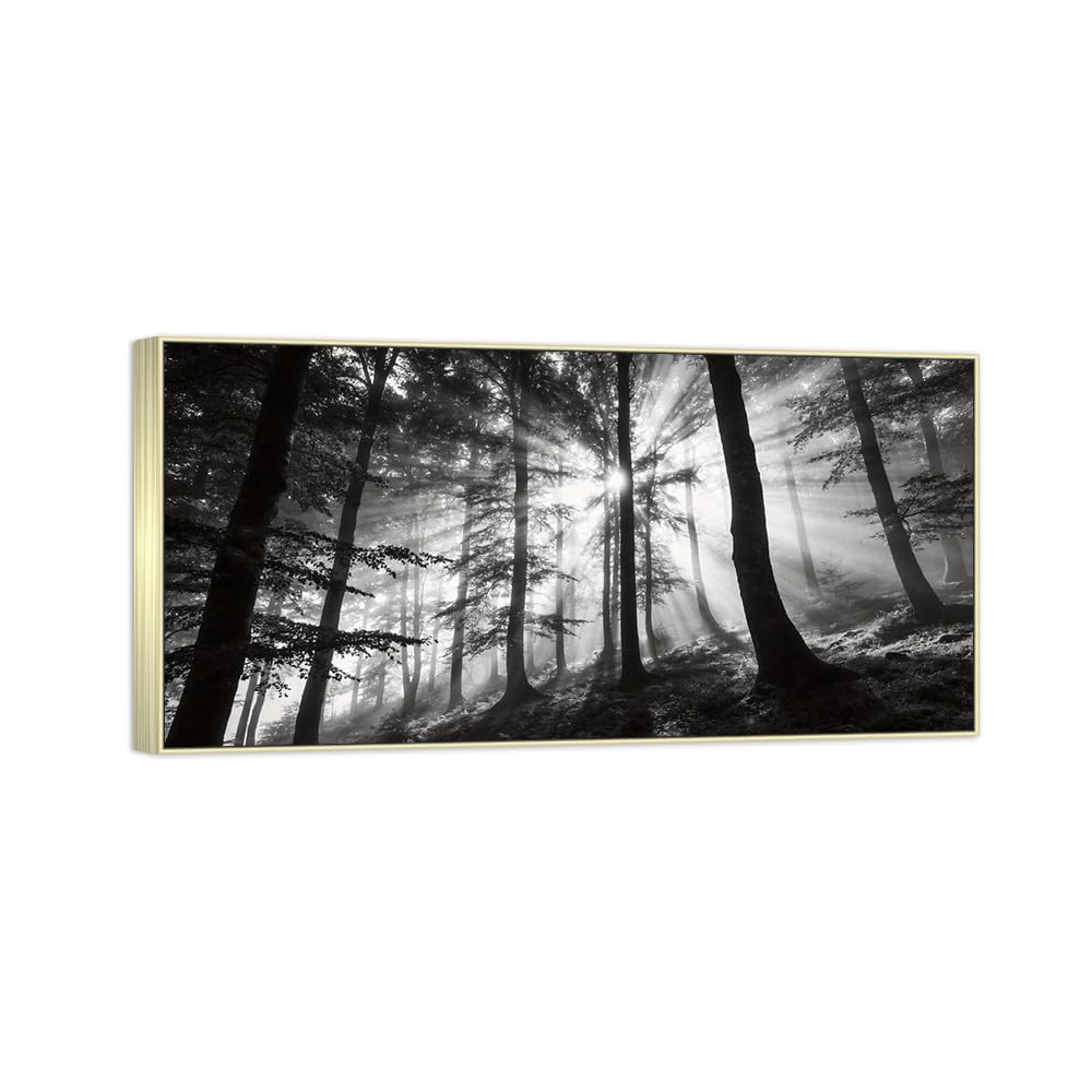 Tree Sunshine 2 Black White Landscape Canvas Picture 20x40cm Silver Frame