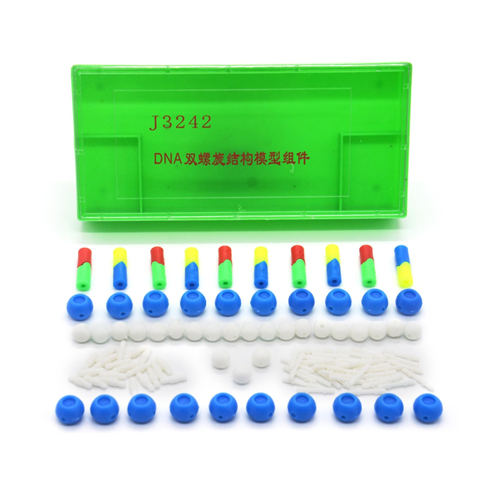 Amazon.co.jp: デオキシリボ核酸モデル DNAモデルセット 教育および