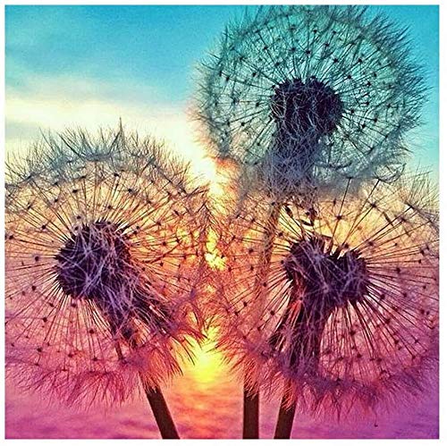 DIY 5D Diamond Painting Kits for Adults, Full Drill Diamond Arts Paintings Craft for Home Wall Decor, 5d Diamond Arts Kits Dandelion