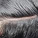SINGA HAIR Thin Skin Mens Toupee Human Hair Piece Replacement V-looped 0.06mm Ultra Thin Skin Hair System Toupee for Men Hairpieces Black Brown Blonde Gray Hair Units Wigs for Men 1B#