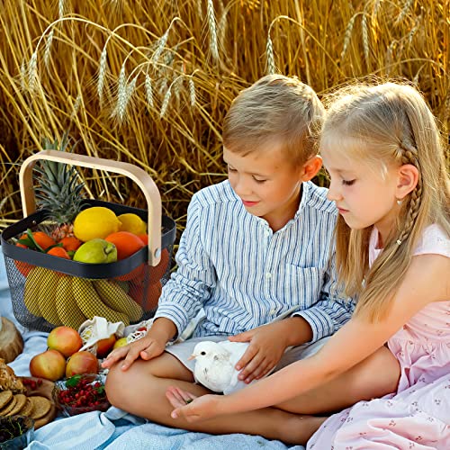 Lifuxiu Metal Mesh Steel Basket Mesh Basket With Handle，Storage Organizer Basket Fruit Vegetable Basket, Solutions For Kitchen, Garden ,Picnic,Gifts And More (Black) #TOP4