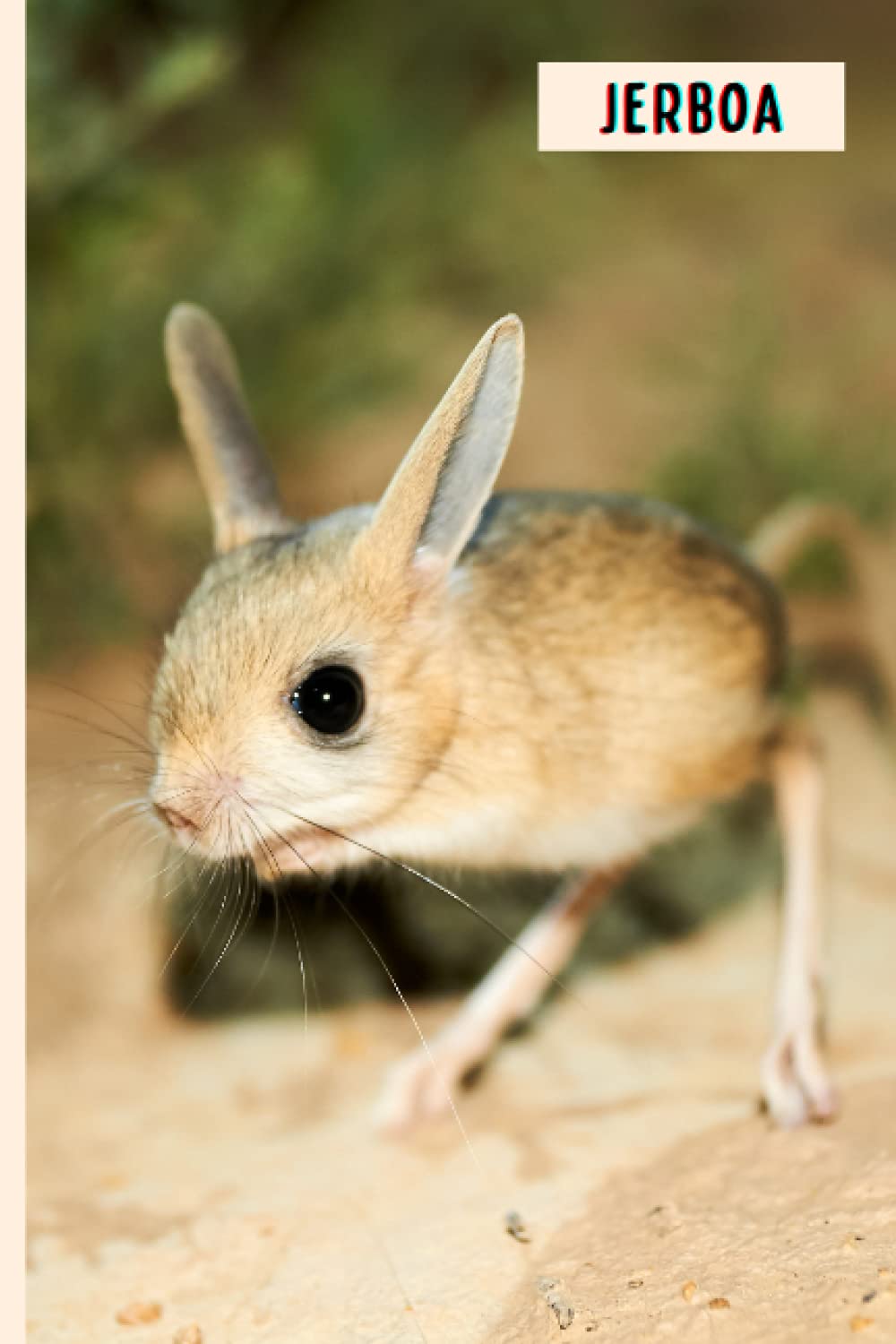 Jerboa: Composition Notebook For Jerboa Lovers , Jerboa Lined Journal ,6x9 Inches , 110 Pages ,Jerboa Diary