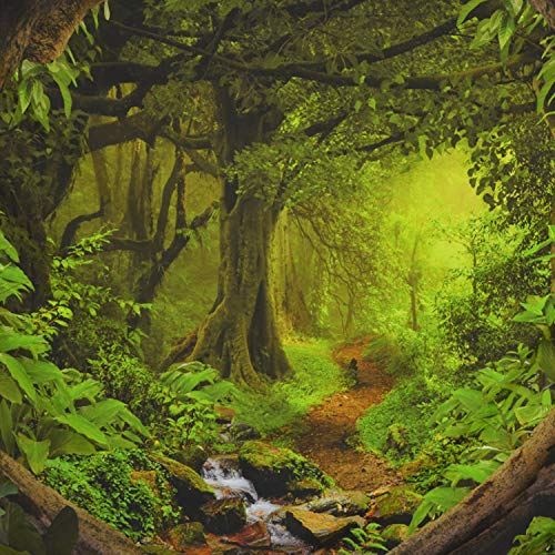 Tushelia Forest Tapestry Nature Tree Cave Tapestry Wall Hanging Misty Forest Tapestry Stream Through Rainforest Tapestry Landscape Wall Tapestry Jungle Creek Psychedelic Tapestry For Living Room thumb #5