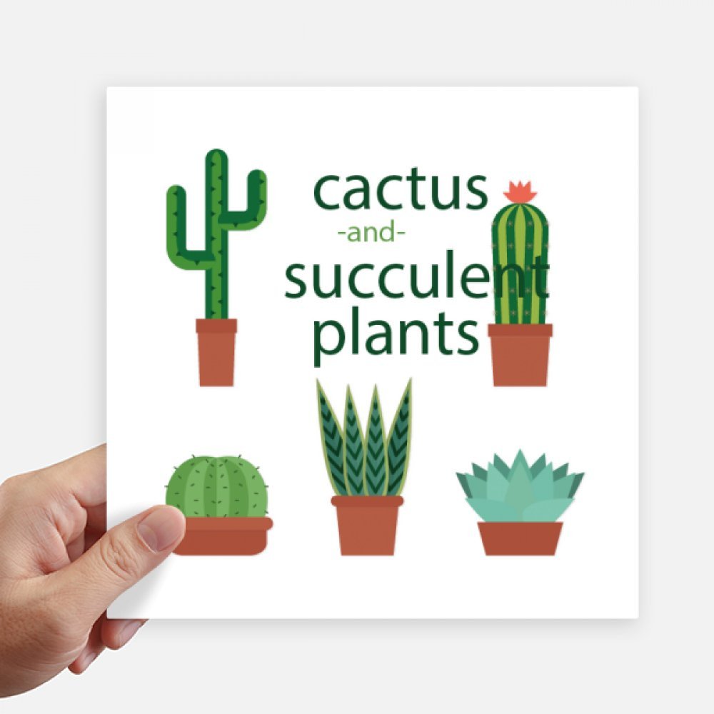 Autocollant carré cactus plantes succulentes pour décoration murale de bureau et salon