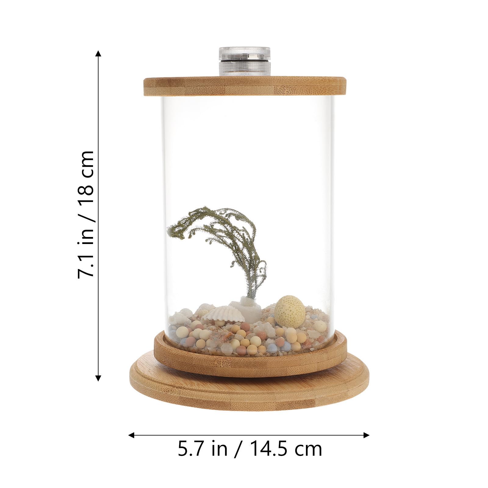 Dekoratives Aquarium für Schreibtisch als Büroaccessoire, Grün