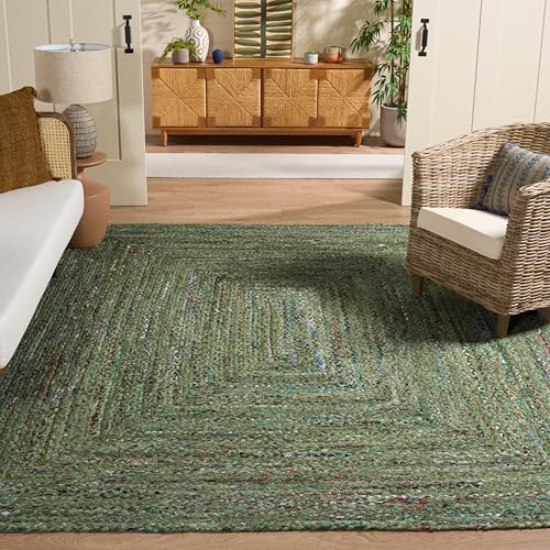 Safavieh Braided Cotton Area Rug