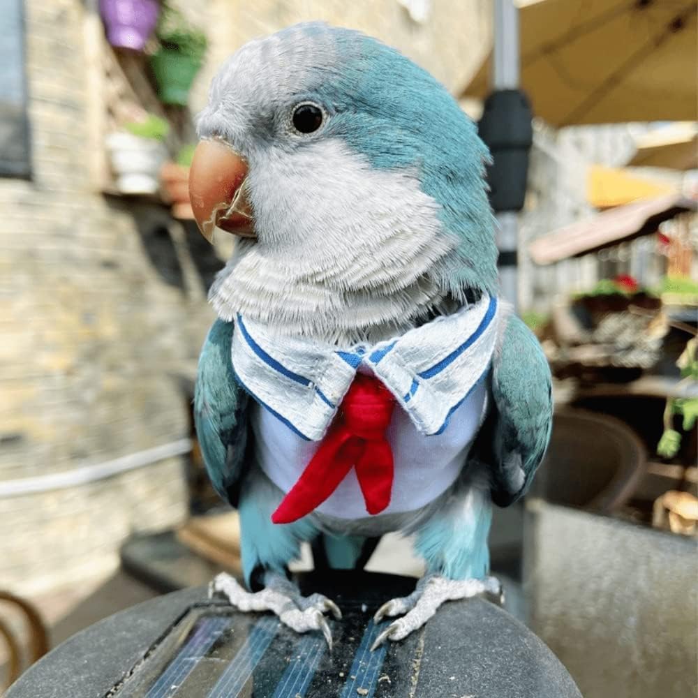 Parrot Bird Supplies,Light Flying Clothes,Summer Lighting Suit With Red Scarf,Comfortable And Suitable For Tiger Skin,Green Cheek Parrot,Little Sun Parrot, Monk Parrot, Lovebird,etc. (A,Large)