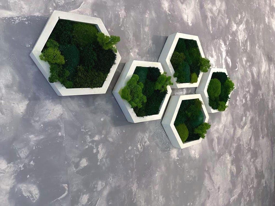 Moss Hexagons