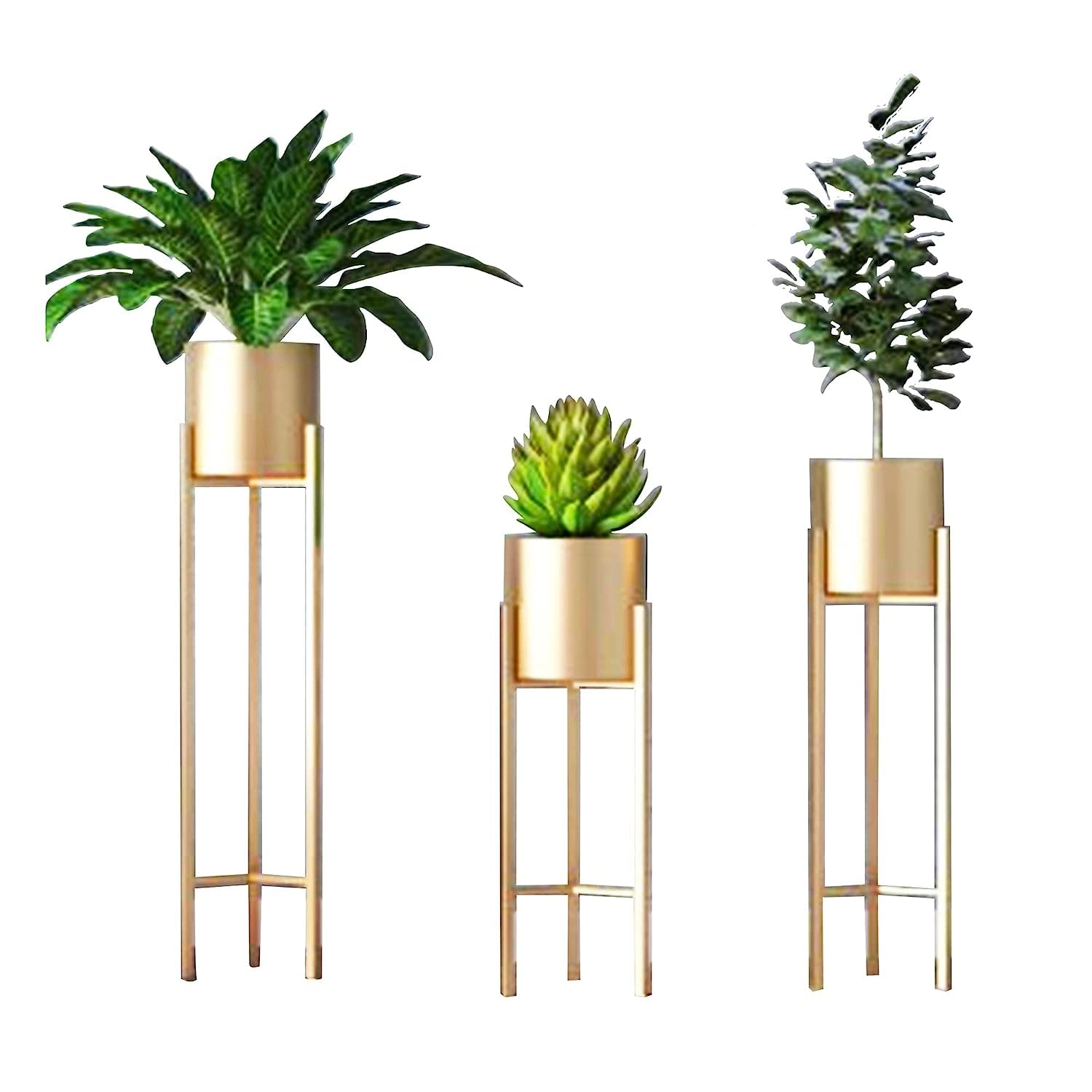 See full amazon price history chart for Delight World Elevate Your Home Décor with Elegance: Premium Golden Metal Planter Set of 3 for Stylish Indoor and Outdoor Plant Display Delight World Elevate Your Home Décor with Elegance: Premium Golden Metal Planter Set of 3 for Stylish Indoor and Outdoor Plant Display (B0BQZ2KKLN) Amazon Price History, Amazon Price Tracker