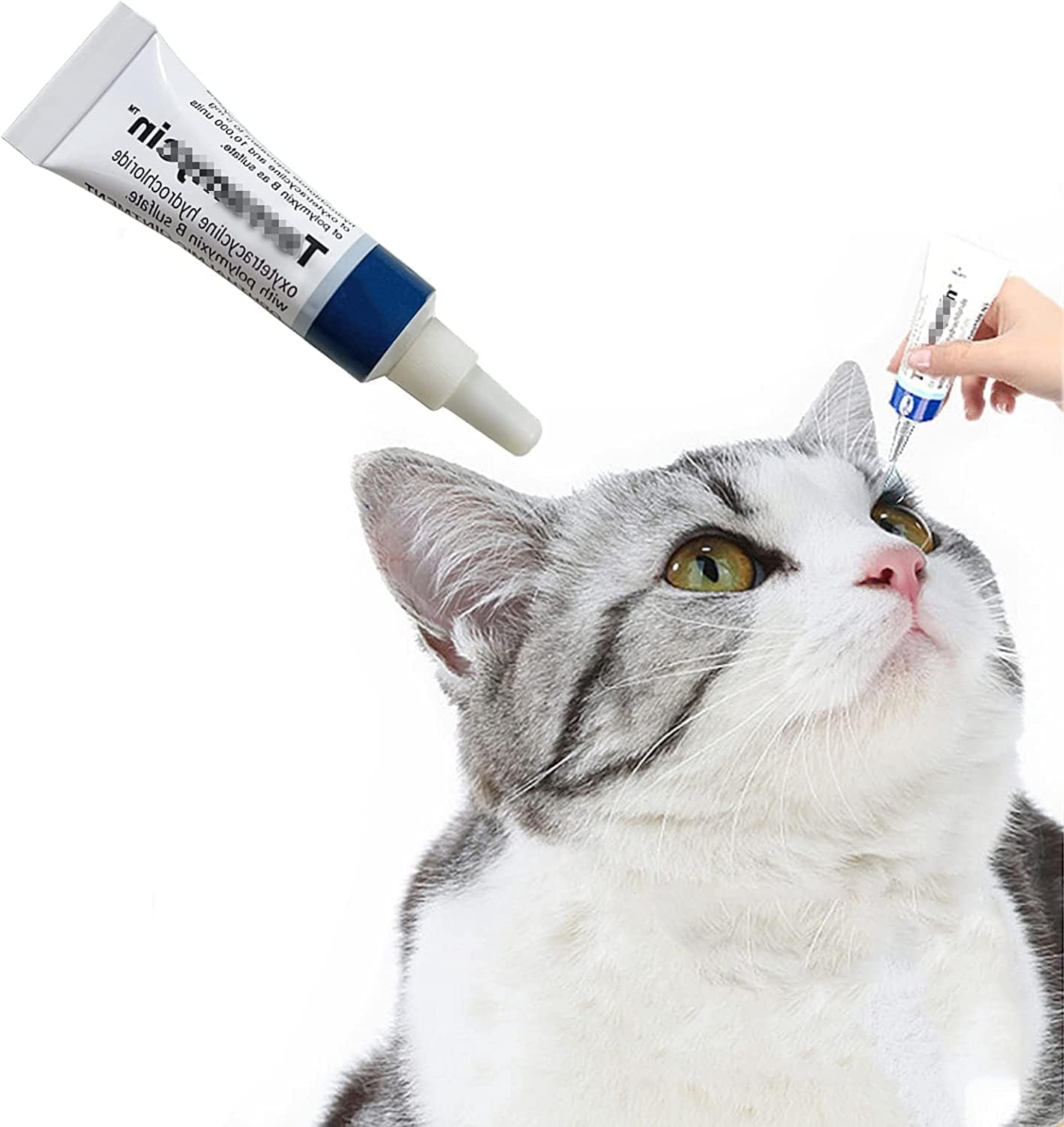 Katzen und Hunde Augensalbe-Augensalbe für Haustiere Hornhautentzündung Augensalbe zur ...