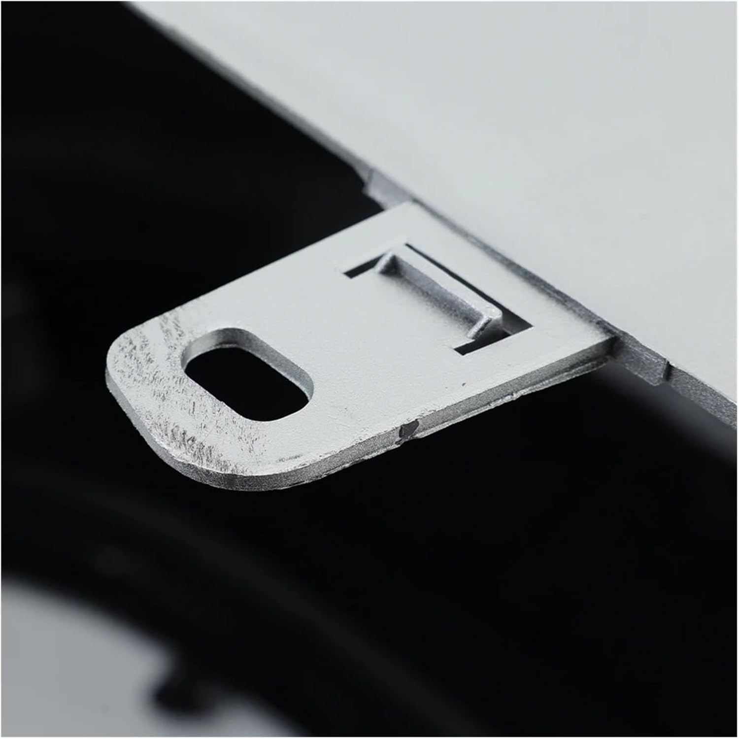 spicy gem 希少 鉢 オペルクリカリア コピアポア spicygem