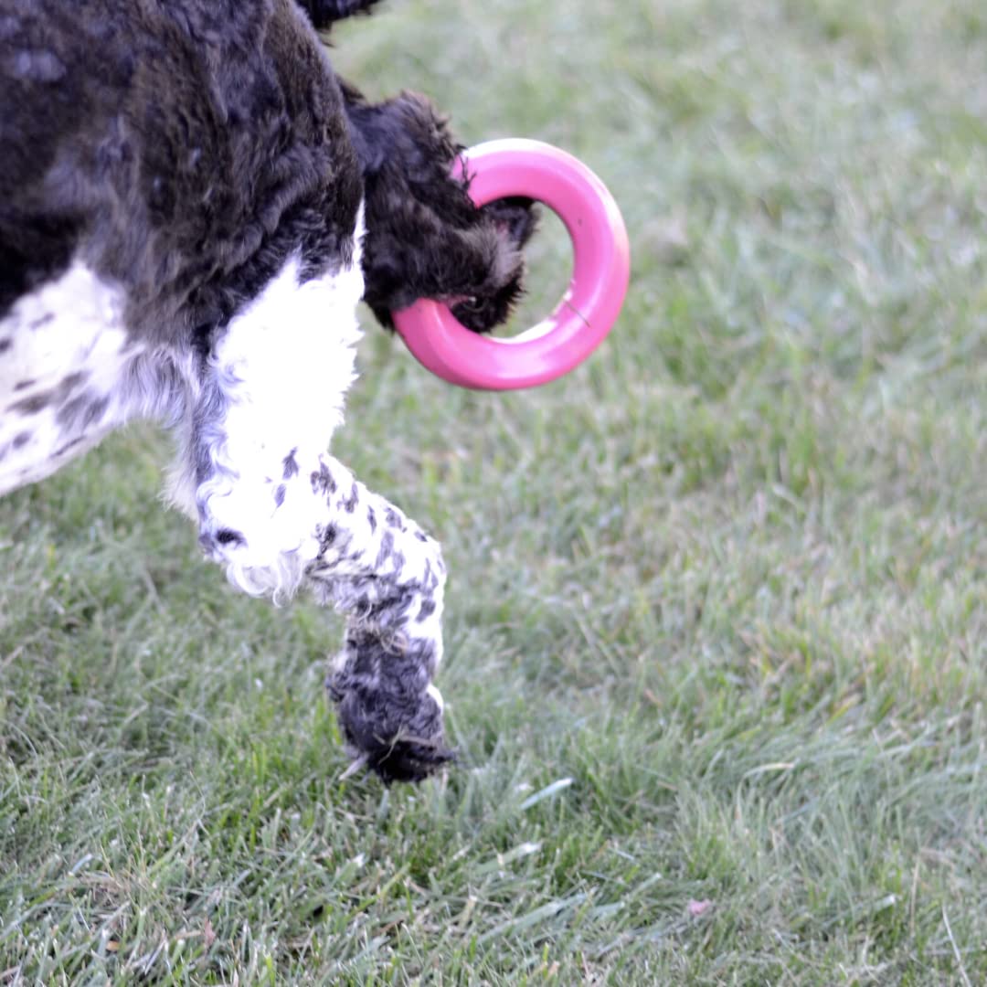 Mutty Anillo de masticación para perros, fabricado en Estados Unidos, material duradero de grado alimenticio para masticadores, una comida donada a refugios locales para cada juguete