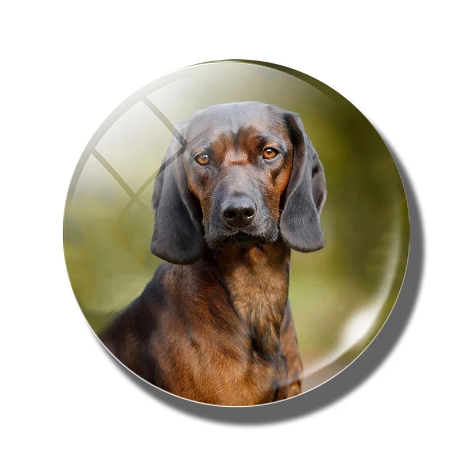 Fridge Magnets 6pcs 30 MM Fridge Magnet Lover Glass Dome Magnetic Refrigerator Stickers Note Holder Home Decoration(Color-18)