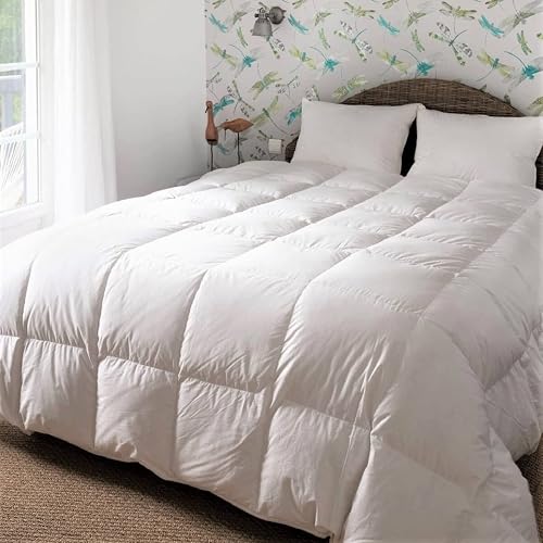 CASTEX - Couette Chaude Duvet/Coton Bio 200x200
