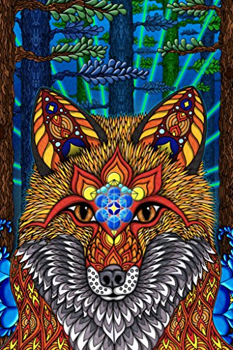 Pyramid America Phil Lewis Electric Fox Red Fox Connection with Nature Spirituality Inspirational