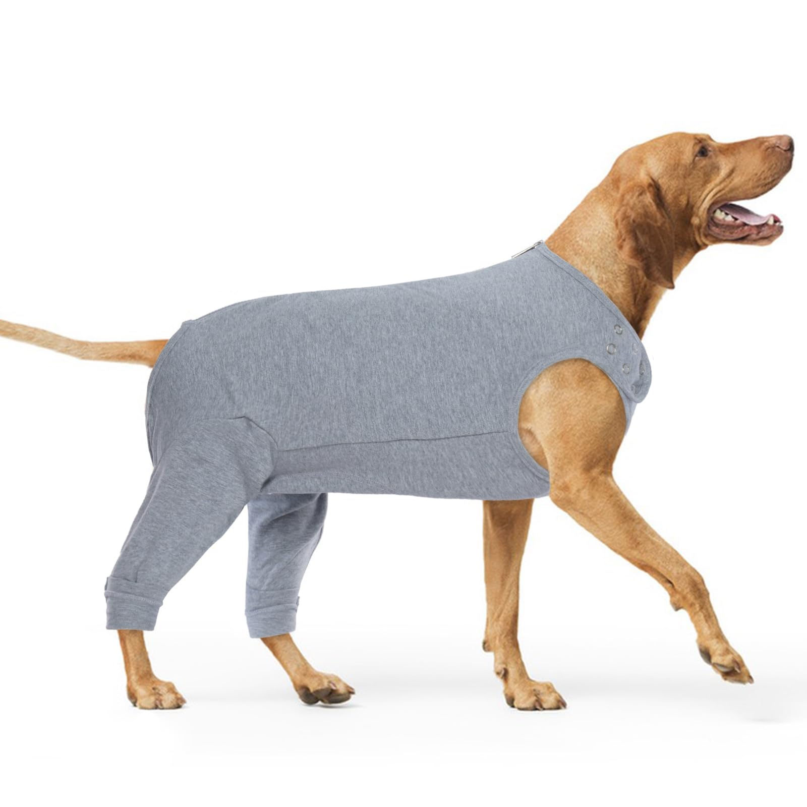 Dog Post Surgery Body Suit