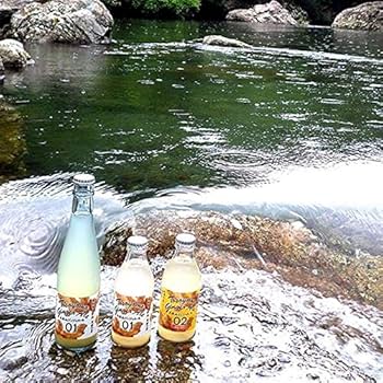 Amazon.co.jp: 土佐山ジンジャーエール 4MIX 飲み比べセット