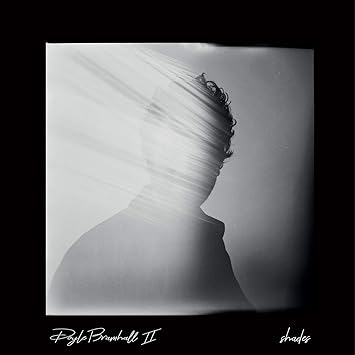 Amazon.com: Shades: CDs y Vinilo